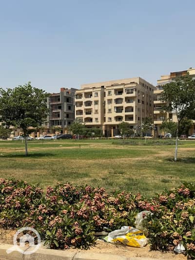 3 Bedroom Flat for Sale in New Cairo, Cairo - WhatsApp Image 2025-11-13 at 9.38. 50 PM. jpeg 3 Bedroom Flat for Sale in New Cairo, Cairo - WhatsApp Image 2025-11-13 at 9.38. 50 PM. jpeg