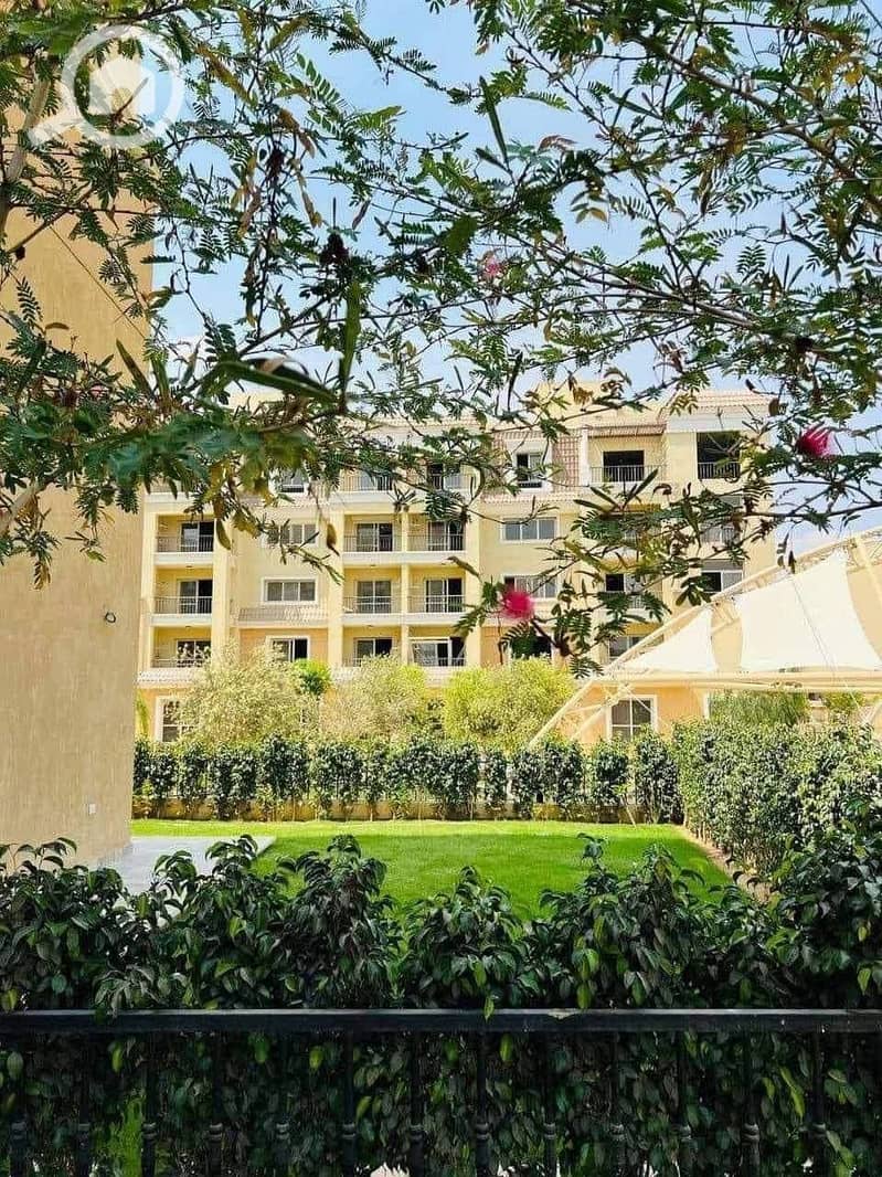 3 WhatsApp Image 2025-10-19 at 12.33. 48 PM (2). jpeg