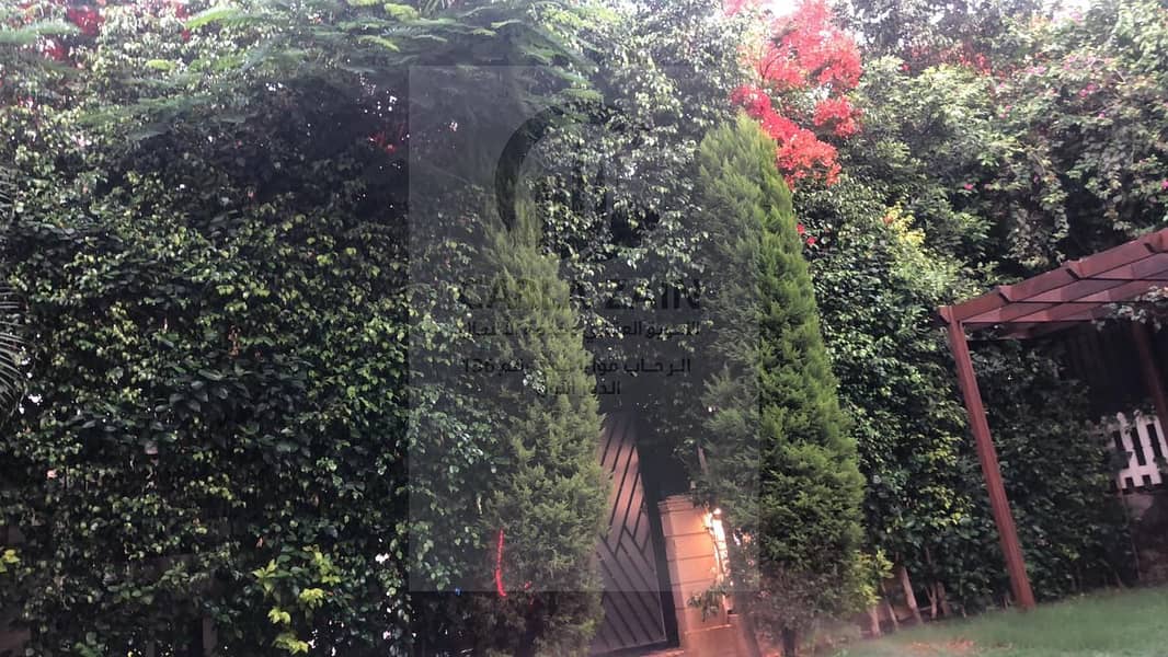 22 صورة واتساب بتاريخ 2025-11-13 في 19.14. 21_8ce058ee. jpg