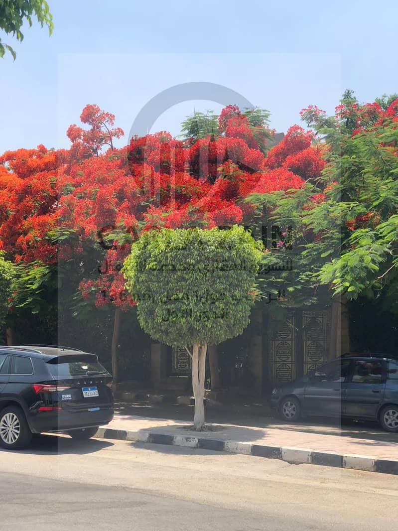 3 IMG-20251113-WA0120. jpg