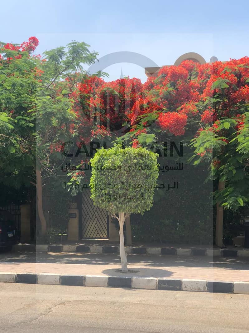 15 IMG-20251113-WA0124. jpg