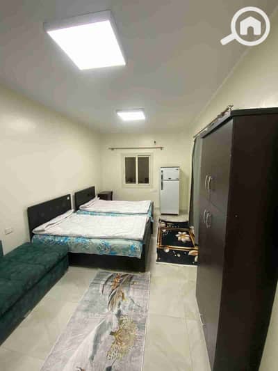 1 Bedroom Room for Rent in New Cairo, Cairo - 1001579648. jpg