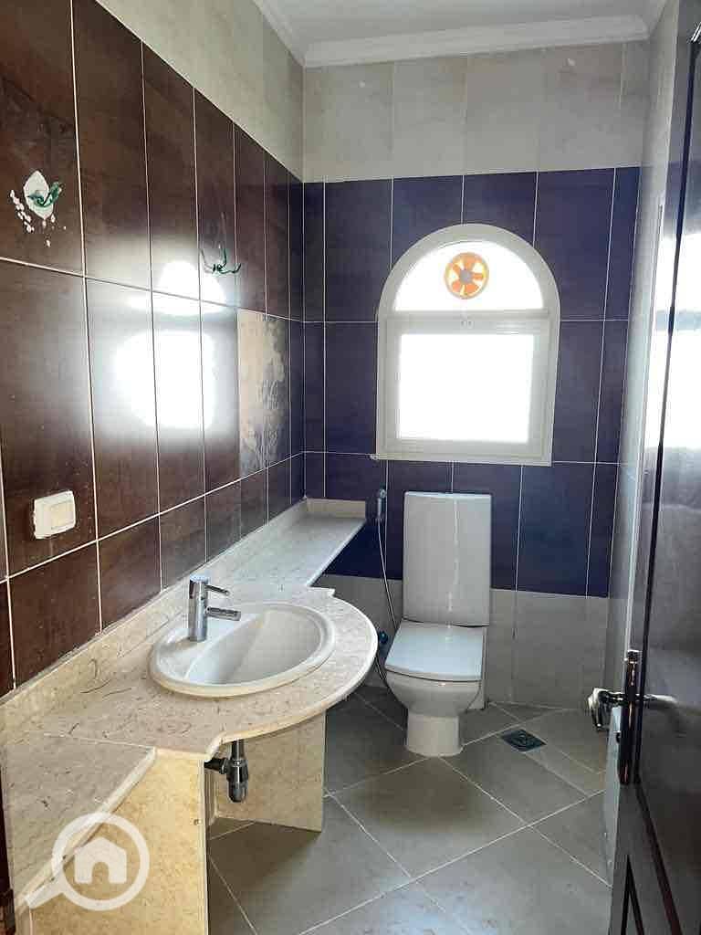 3 18e6f665-b9bf-4e5b-bc50-df645af92437. jpg