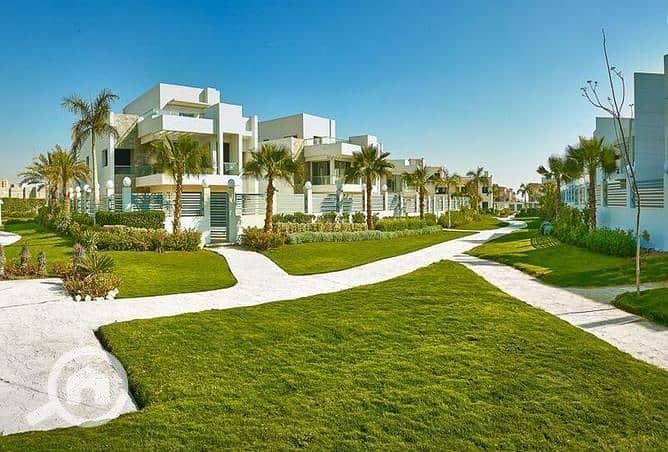 2 4807720-bb98ao. jpg