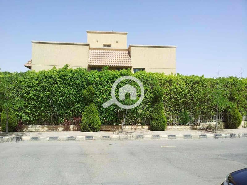 10 9ebfdead-44ad-47c8-868c-f59bf3a584eb. jpg