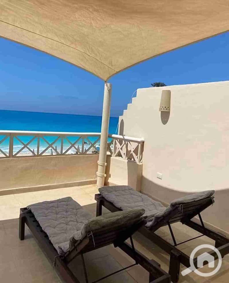 1000602119. jpg 1000602119. jpg