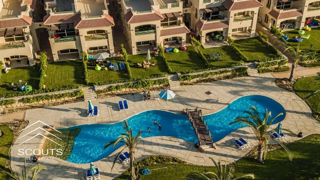 11 369987630_2475718299269735_7228000443315945401_n. jpg