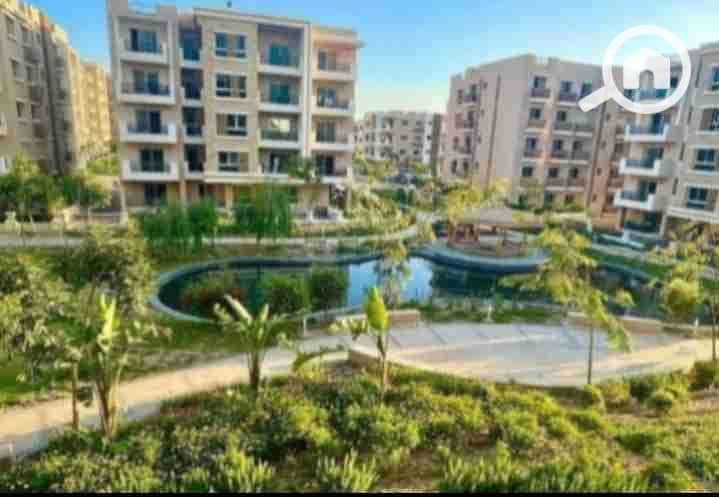 3 IMG_٢٠٢٥٠٩٢٧_١٧١٩٥٩. jpg