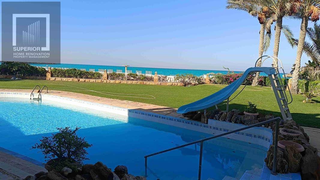 12 IMG20251007162526. jpg