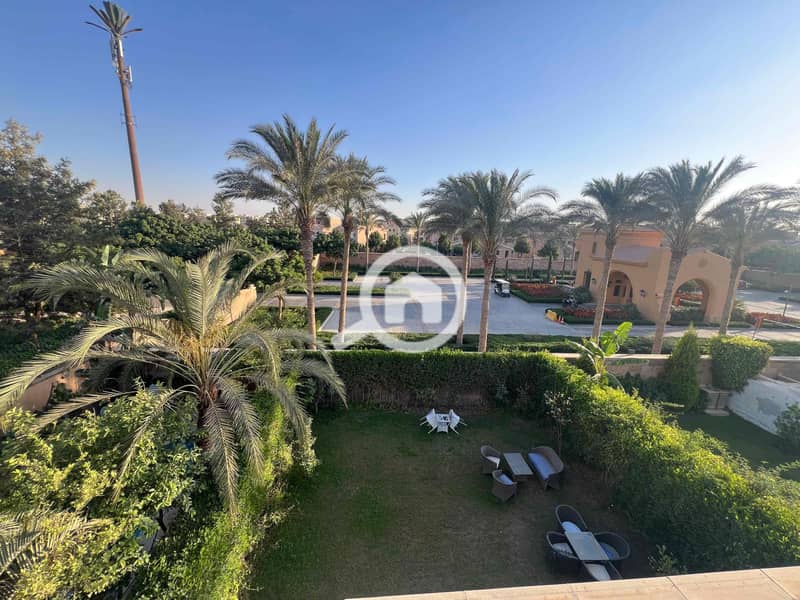 4 859179d0-fb49-4178-9976-5004d132d0f2. jpg