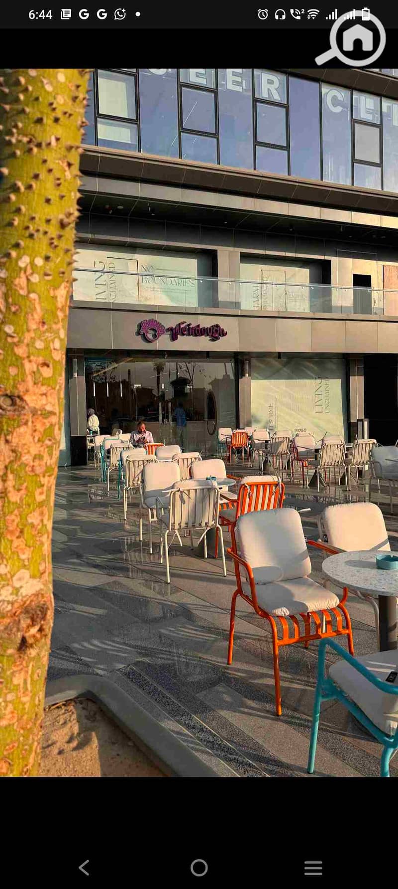 1000986122. jpg 1000986122. jpg