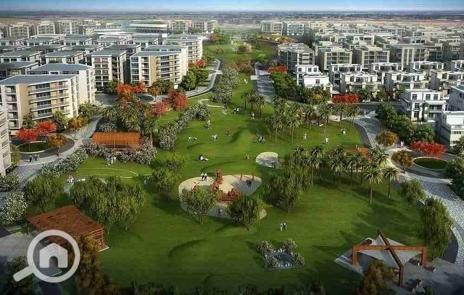 10 FB_IMG_1761240780596. jpg