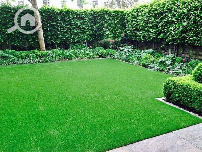 12 420126438_232208869945414_999569911459645529_n. jpg