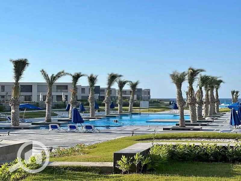 6 555887401_2033356037437099_3883432969679919580_n. jpg