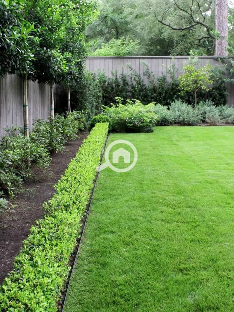 8 558504655_1341969287536948_6674435798402552459_n. jpg