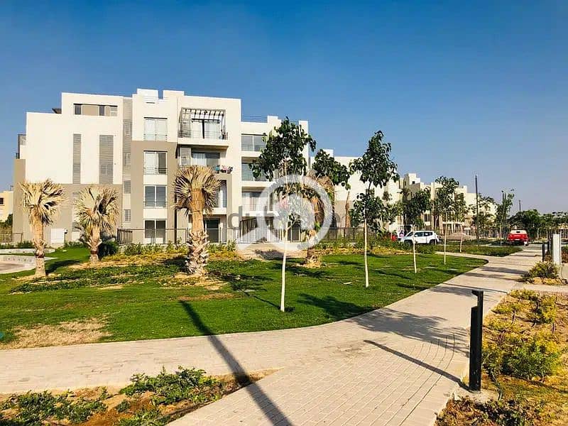 2 95155872-800x600. jpeg