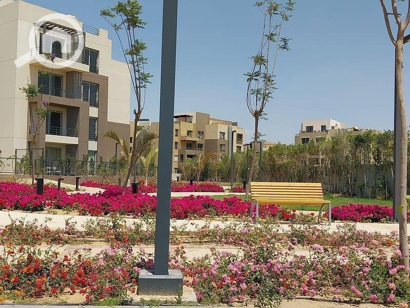 4 416108155_402956708767135_6838920103673753873_n. jpg