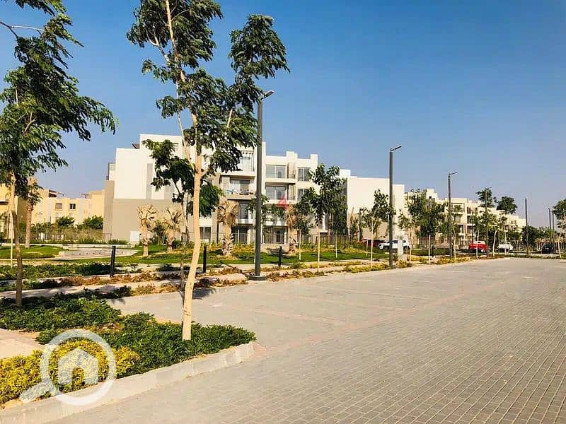 5 95155874-800x600. jpeg