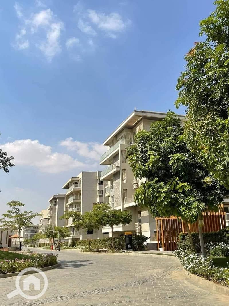 6 557517801_122135827430930285_3033788506439652751_n. jpg