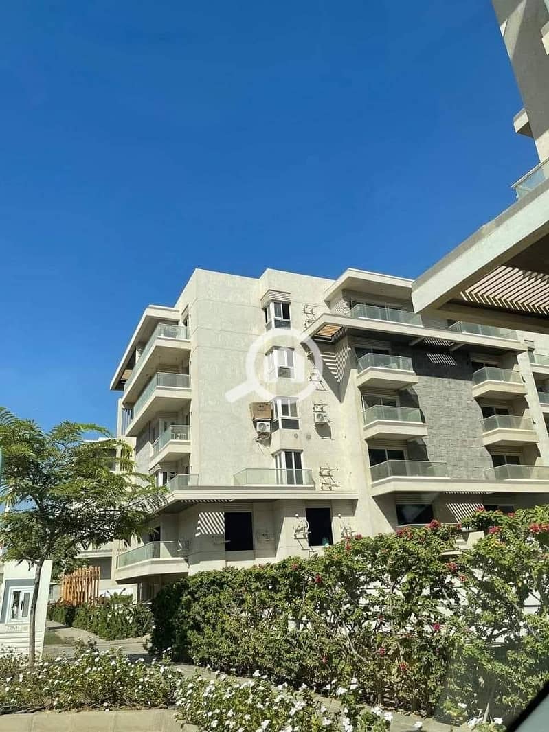 8 557629983_122135827478930285_216613172394740534_n. jpg