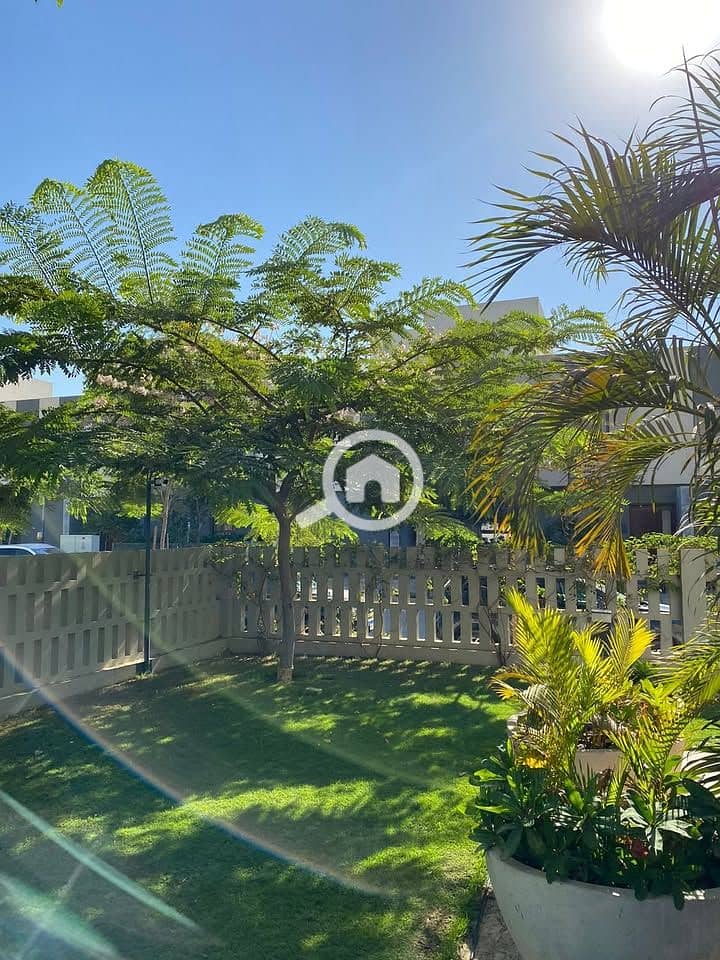 4 467431916_542291415360053_3786504470421252132_n. jpg