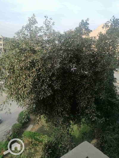 2 Bedroom Apartment for Sale in Sheikh Zayed, Giza - 1000284954. jpg