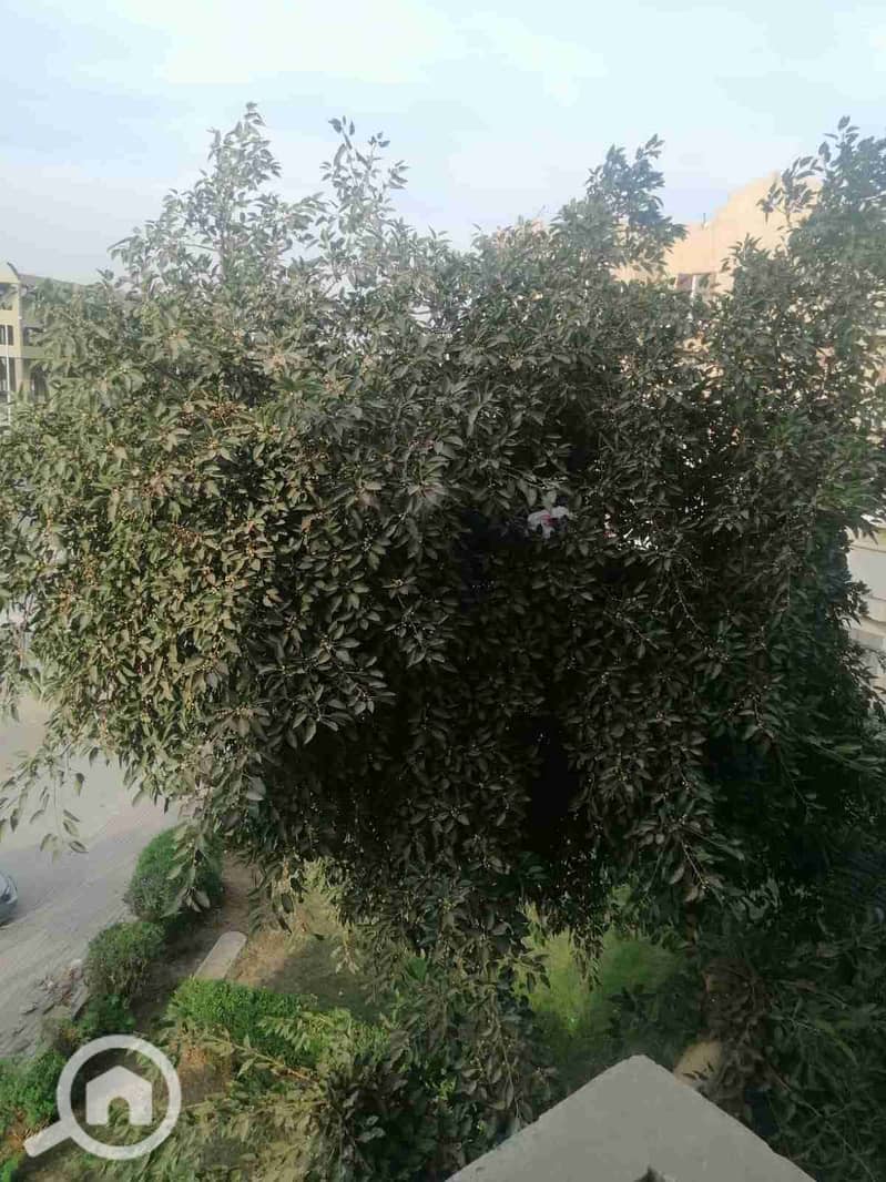 1000284954. jpg 1000284954. jpg