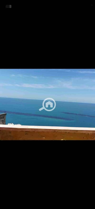 3 Bedroom Apartment for Rent in Montazah, Alexandria - 2828. jpg