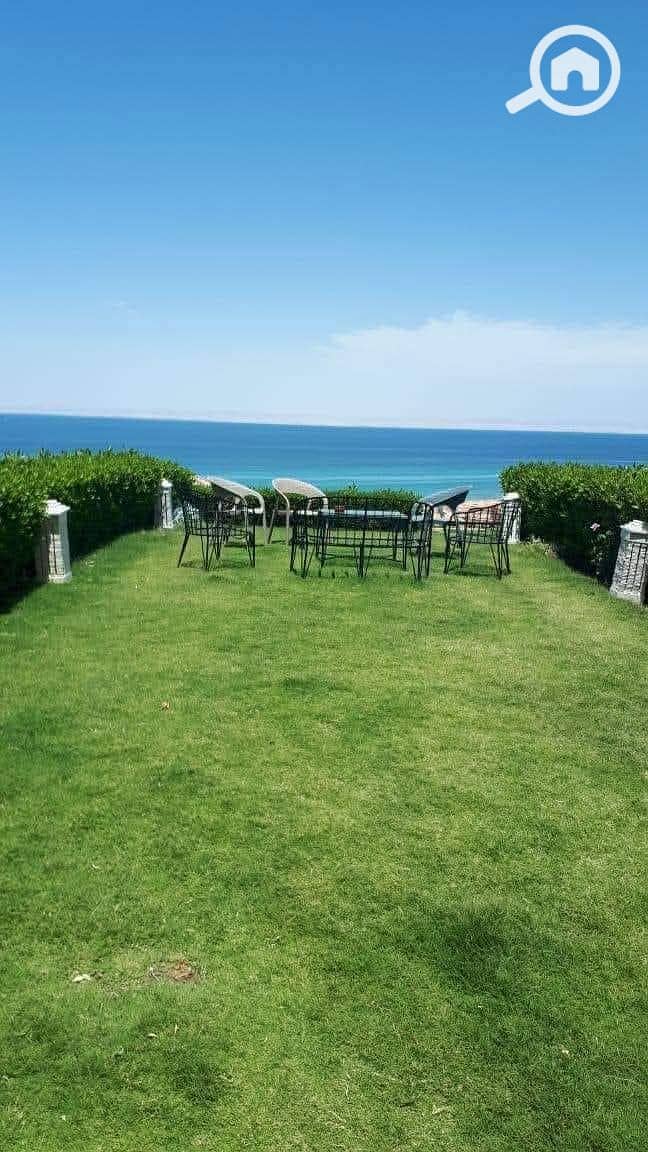 476664413_2844818392364955_712274769901904400_n. jpg 476664413_2844818392364955_712274769901904400_n. jpg