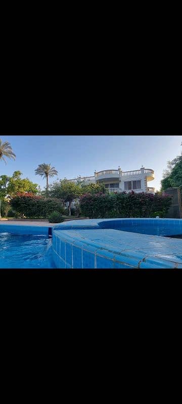 المنصوريه الصليبية بجوار شيريهان من أجمل المواقع المنصوريه الصليبية بجوار شيريهان من أجمل المواقع