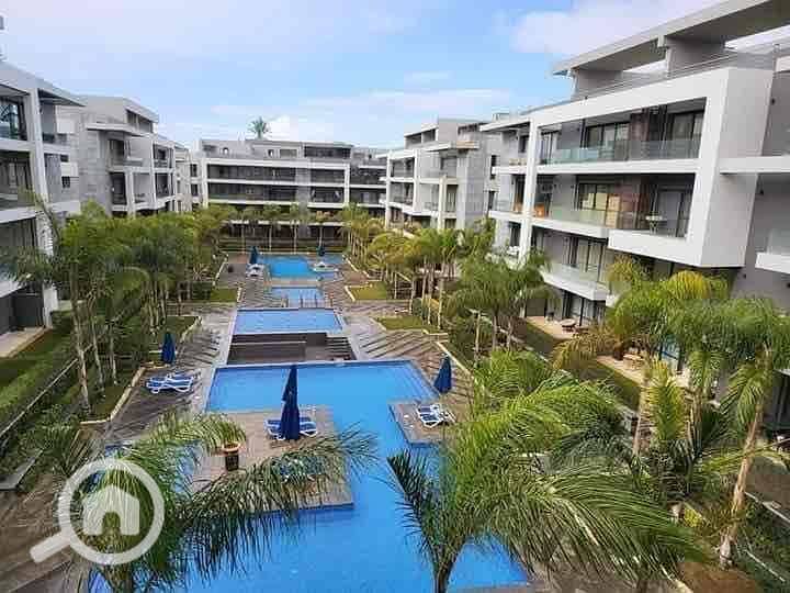 5 1d9e49d8-7159-4b65-b284-93f3146718b5. jpg