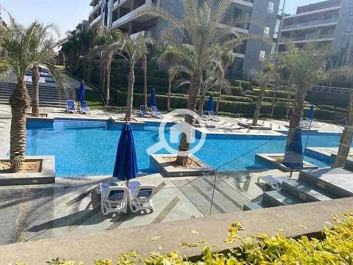 5 9673a6af-96d8-46c6-be4c-1e4cd109456e. jpg