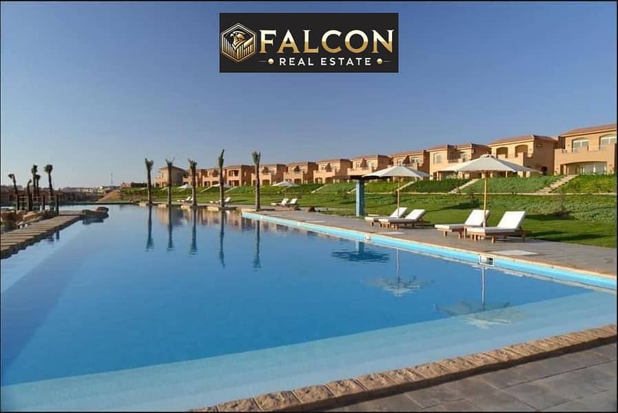 4 5870666565429609697. jpg