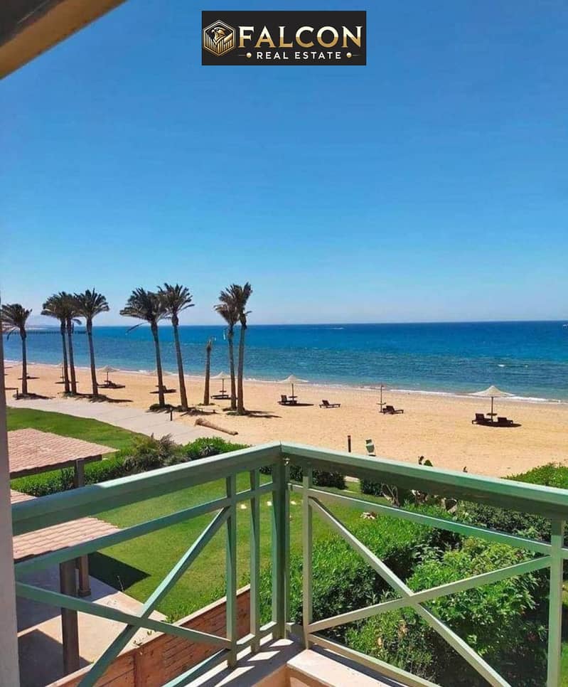 11 6008014066162974913. jpg