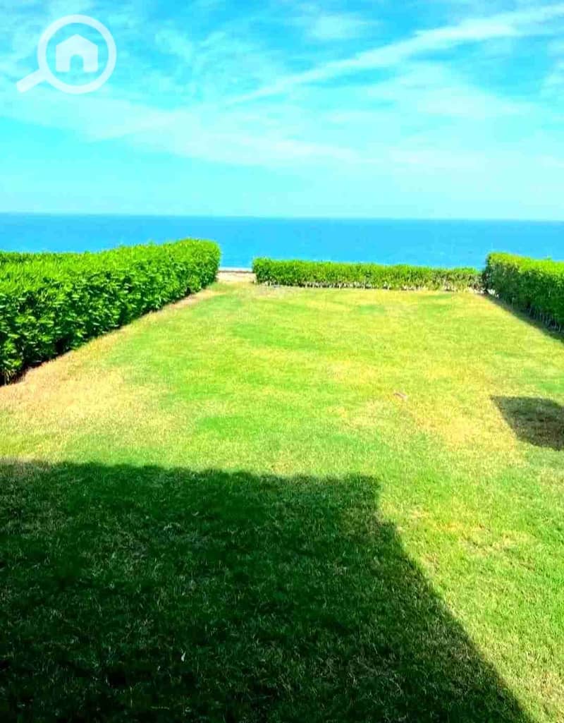 1000968553. jpg 1000968553. jpg