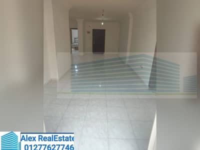 3 Bedroom Flat for Rent in Laurent, Alexandria - WhatsApp Image 2025-11-12 at 8.05. 07 AM. jpeg