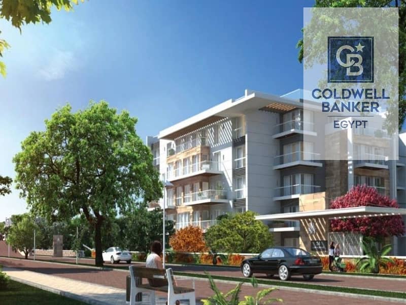 11 WhatsApp Image 2024-12-03 at 14.41. 59_401a0f9b. jpg