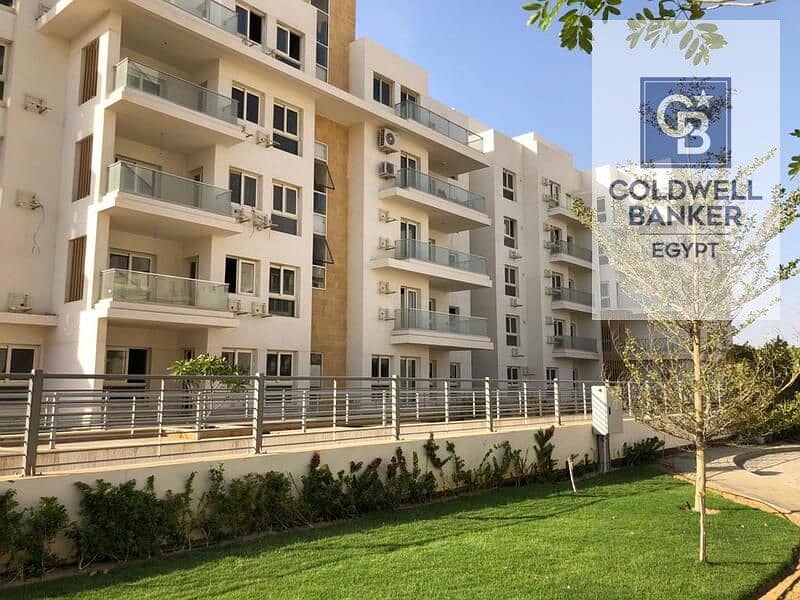 15 WhatsApp Image 2024-12-03 at 14.42. 00_1efc4ca8. jpg