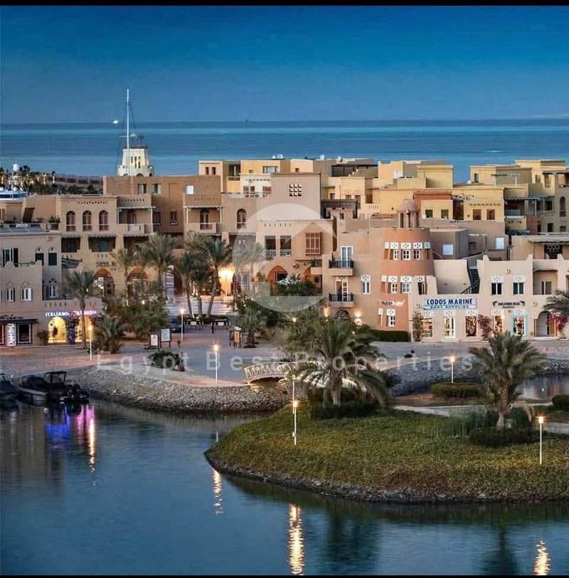 3 WhatsApp Image 2025-11-10 at 12.25. 42_96c80203. jpg