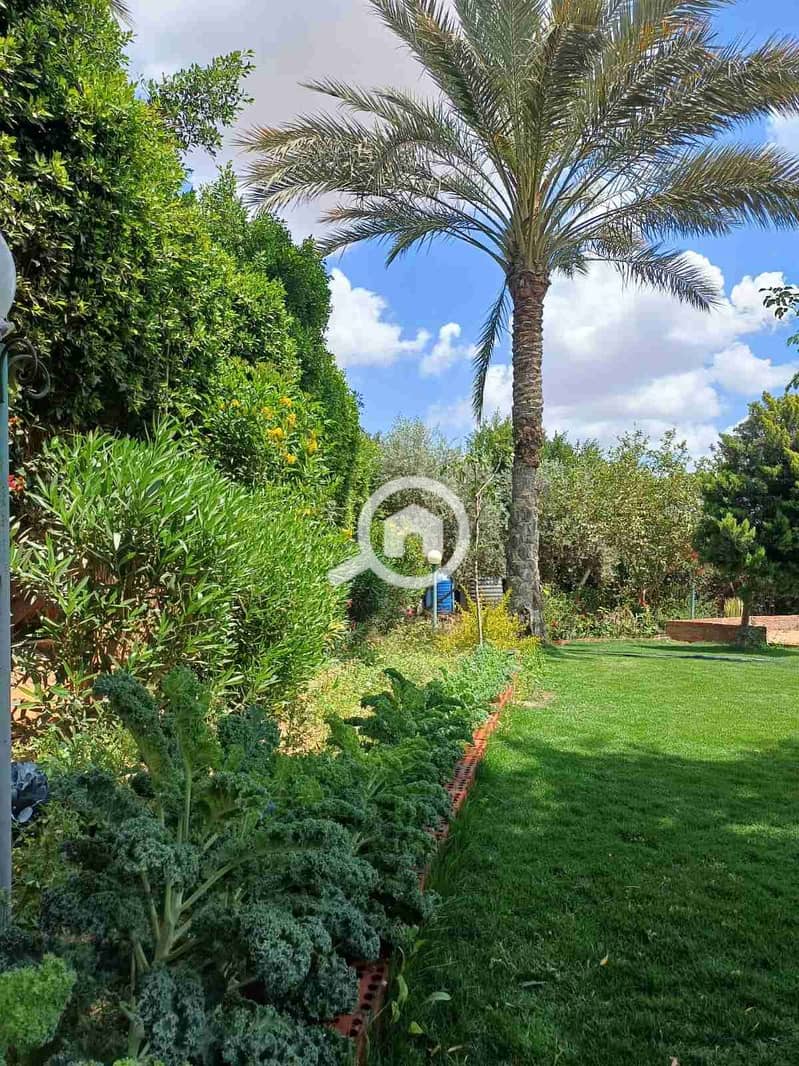 4 IMG-20250526-WA0070. jpg