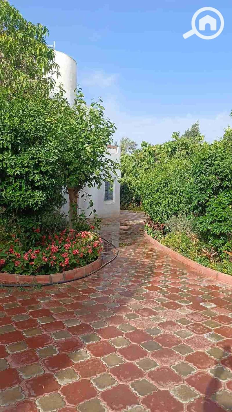 5 IMG-20250526-WA0066. jpg