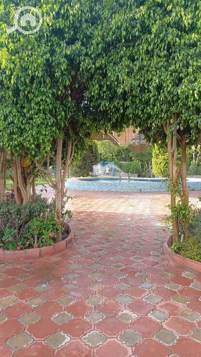 6 IMG-20250526-WA0065. jpg