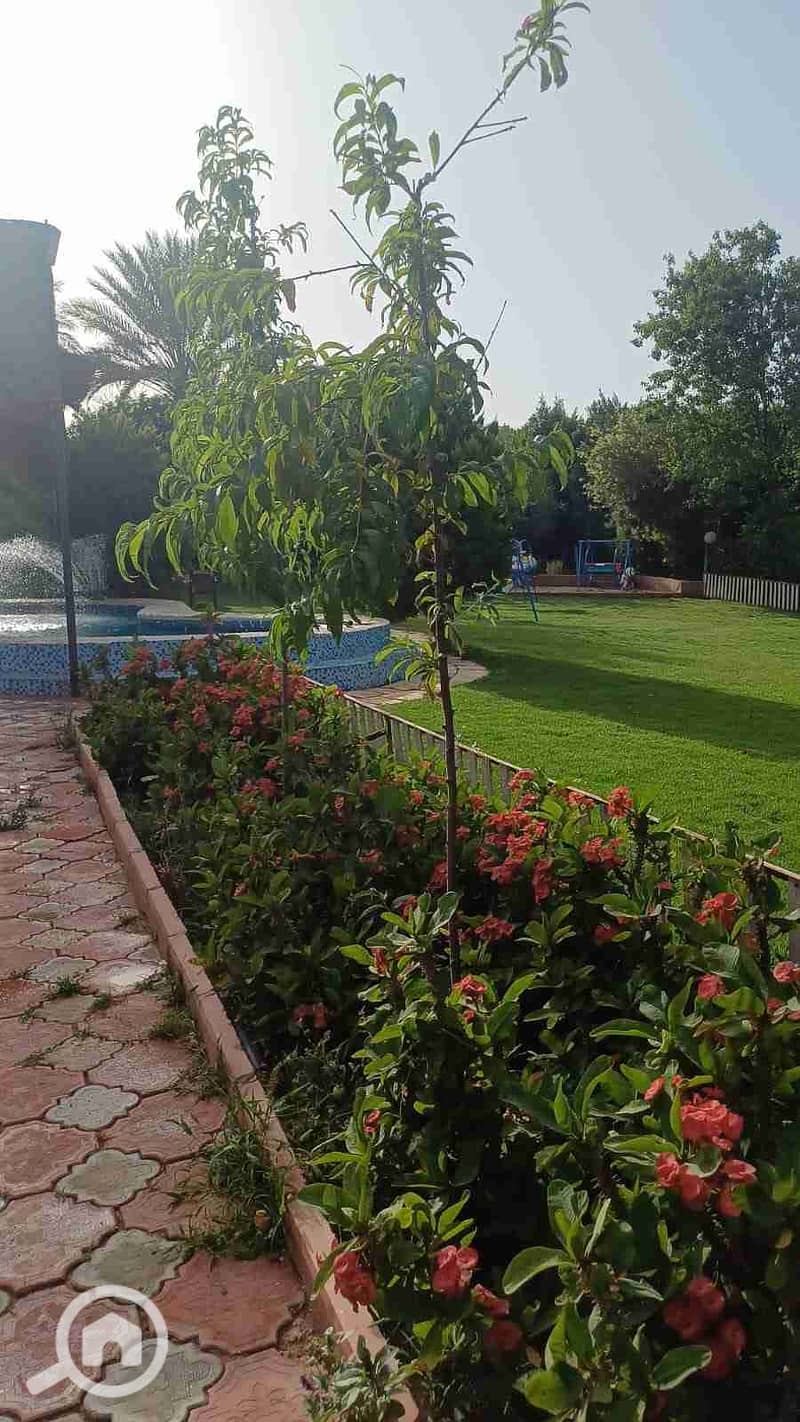 7 IMG-20250526-WA0064. jpg