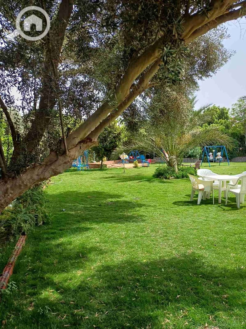 11 IMG-20250526-WA0056. jpg