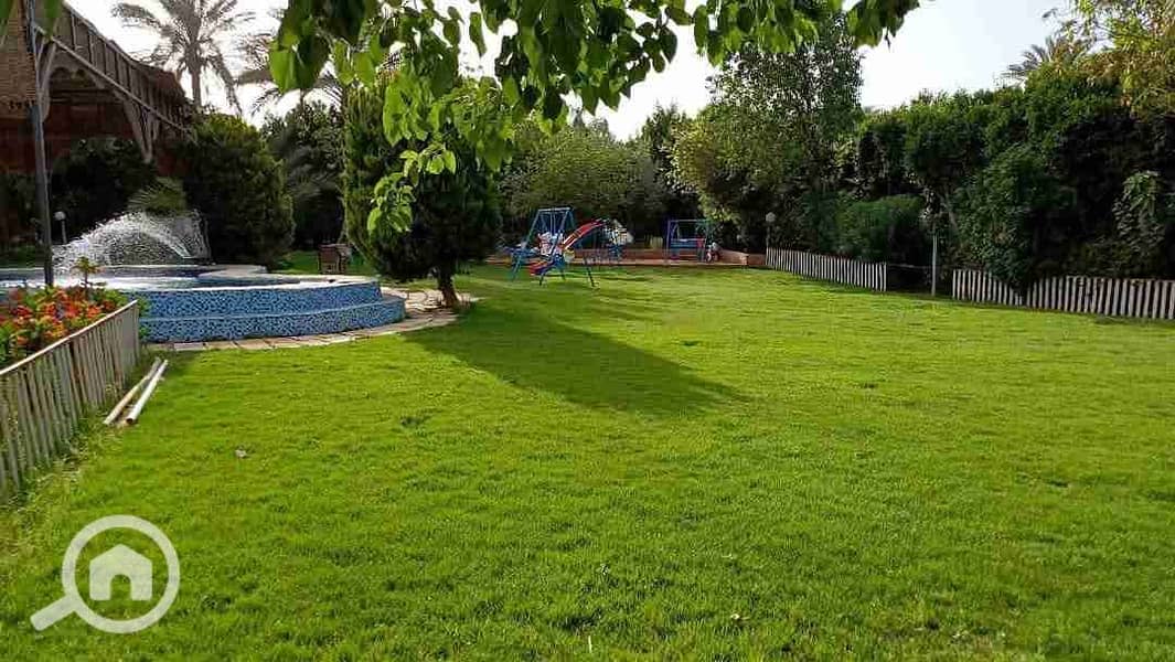 17 FB_IMG_1747250298557. jpg