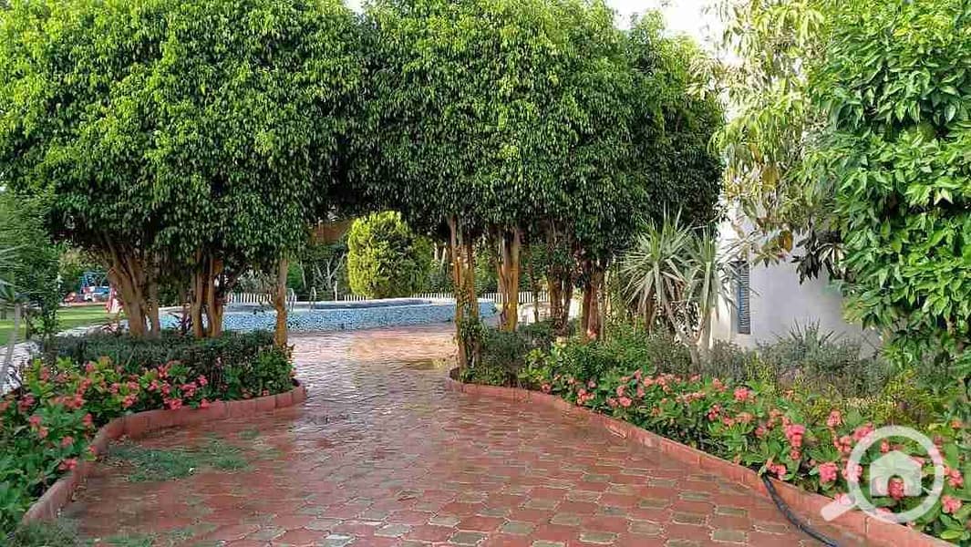 18 FB_IMG_1747250296320. jpg