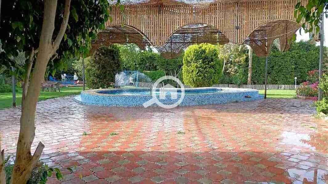 19 FB_IMG_1747250291692. jpg