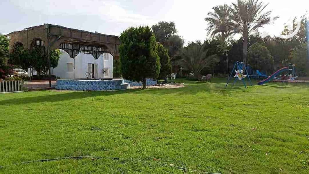 20 FB_IMG_1747250266200. jpg