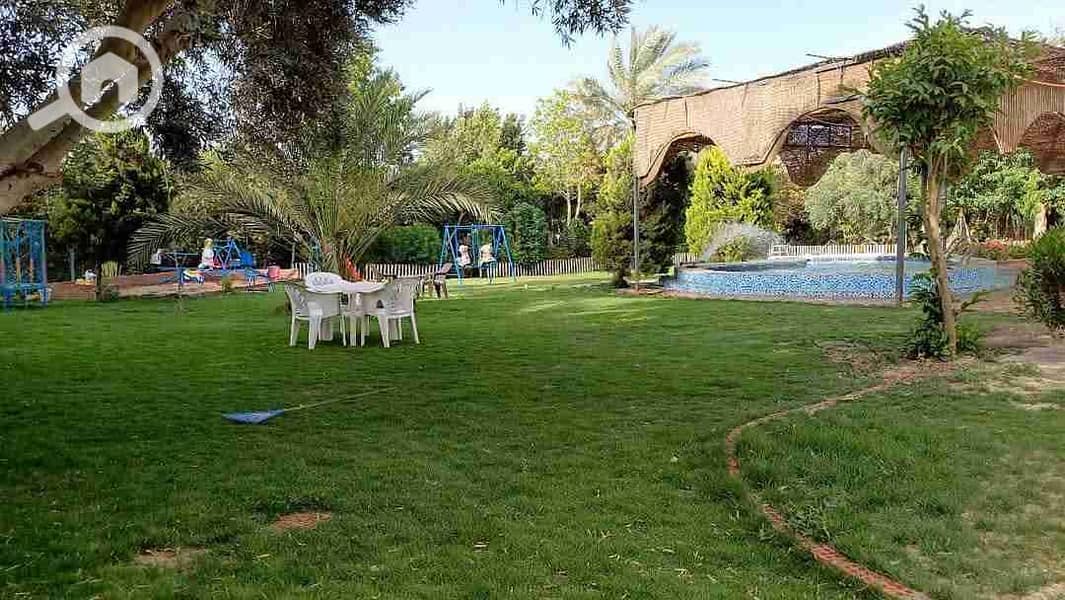 21 FB_IMG_1747250272025. jpg