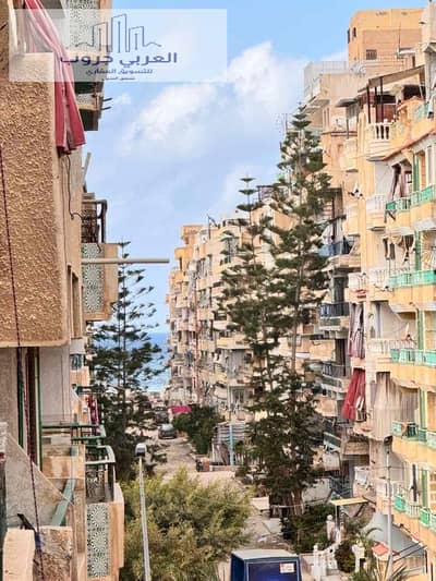 شقة 2 غرفة نوم للبيع في النخيل، الإسكندرية - c63ee2e6-3462-4d22-a2e8-0a3f66eeba0f. jpg